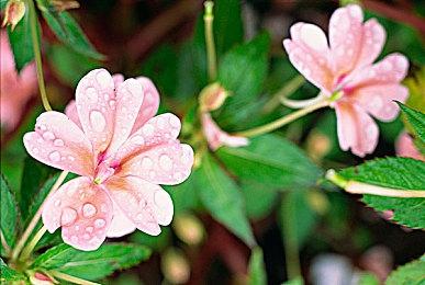 《光环：无限》测试对比 画面和性能有了较大进步